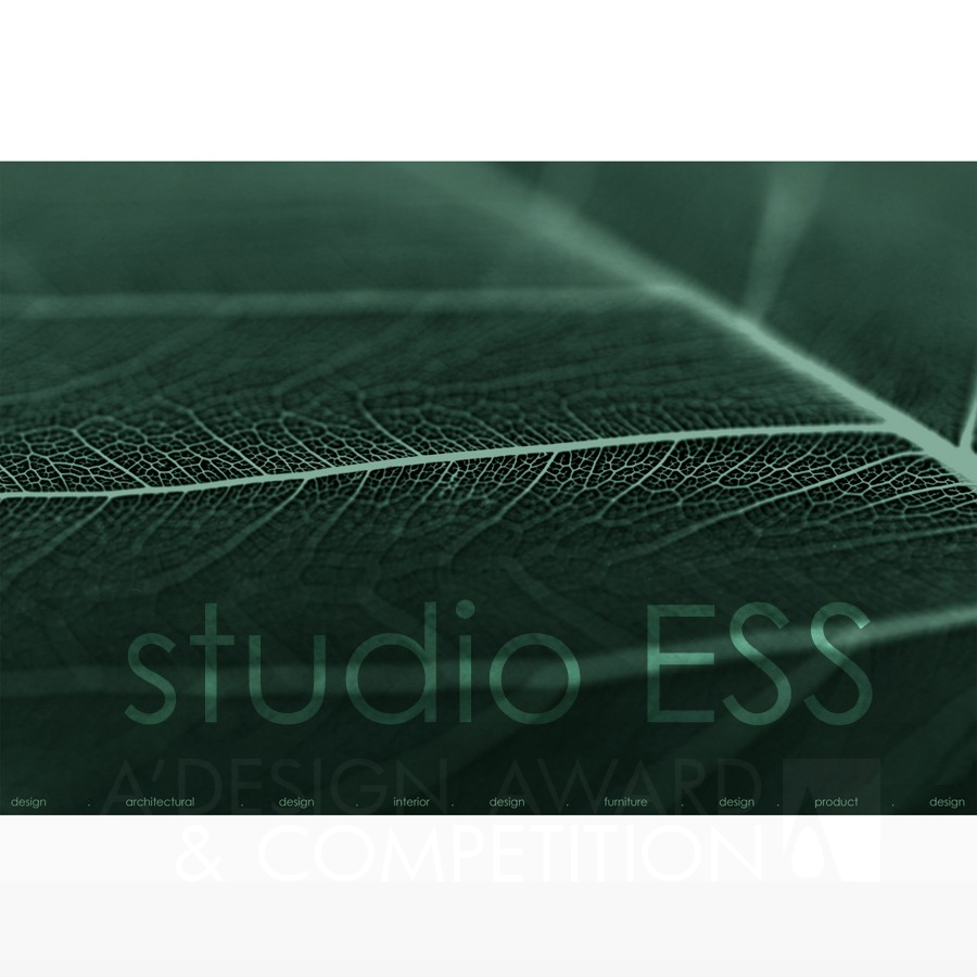 studio ESS