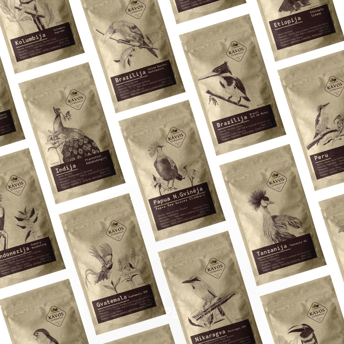 Birds and Coffee Packaging   by Kristina Pacesaite Silver Packaging Design Award Winner 2021 