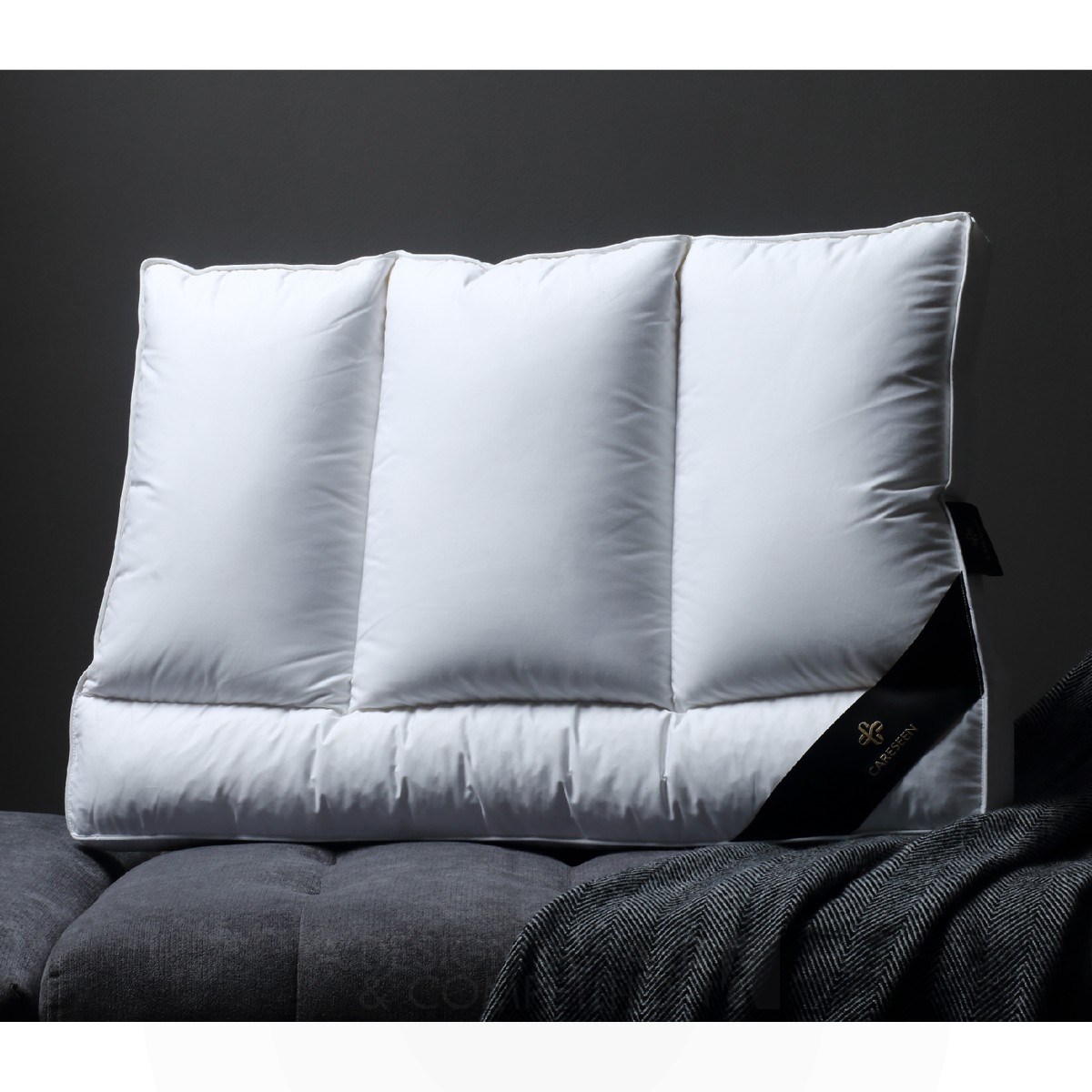 Da Vinci Home Textile Pillow Core by Jiangsu Careseen E-Commerce Co., Ltd. Iron Furniture Design Award Winner 2022 