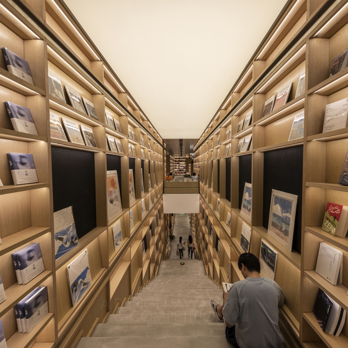 Beijing Pageone Wudaokou Bookstore by Ldpi China Branch Bronze Lighting Products and Fixtures Design Award Winner 2022 