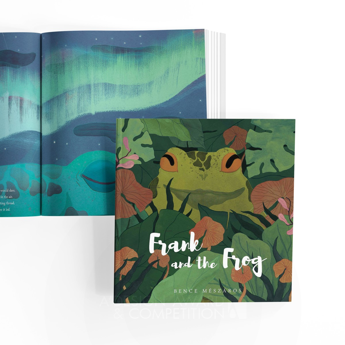 Frank and the Frog Picture Book for Children by Bence Meszaros Silver Graphics, Illustration and Visual Communication Design Award Winner 2022 