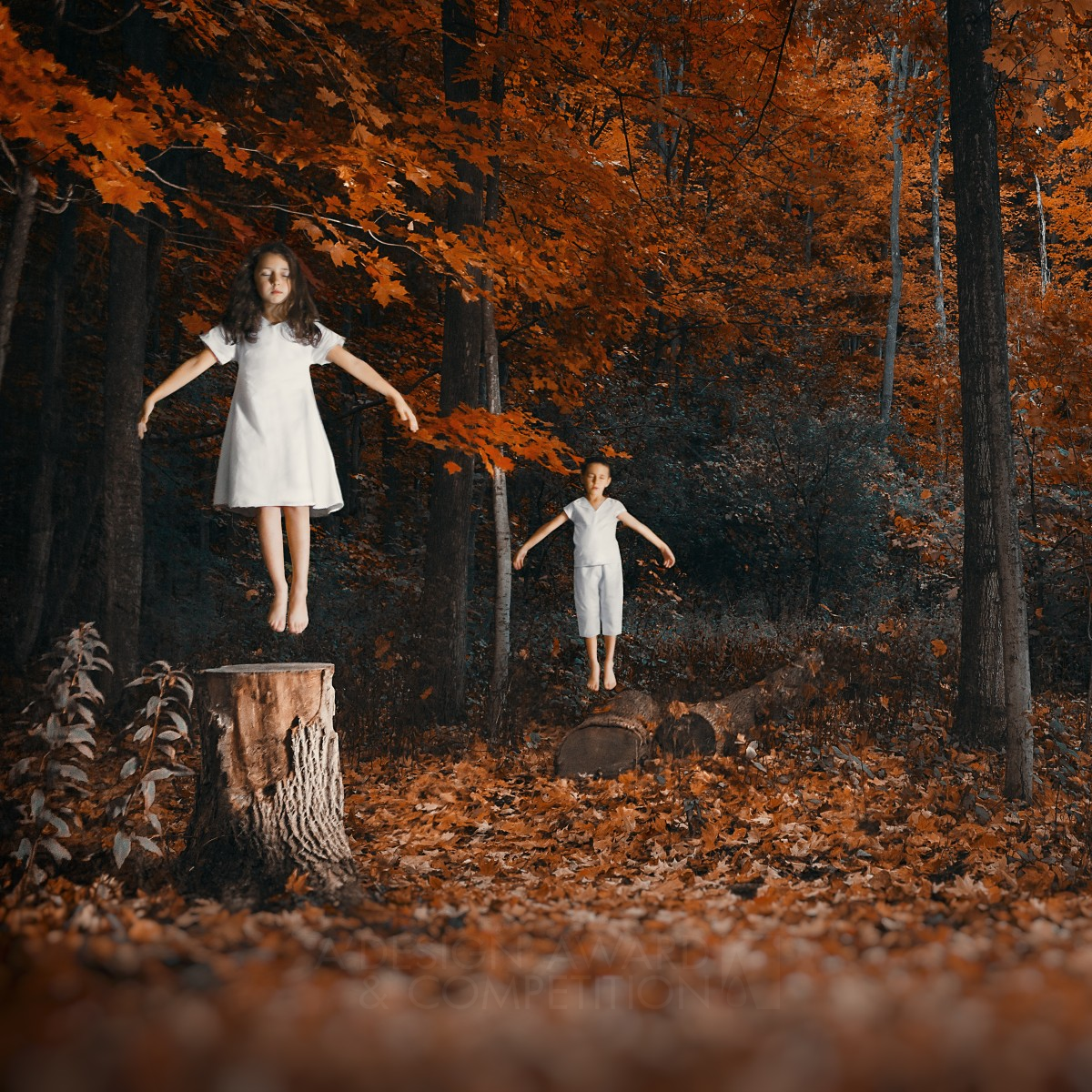 Flying in Dreams Levitation Photography by Maxim Zinchuk Silver Photography and Photo Manipulation Design Award Winner 2022 