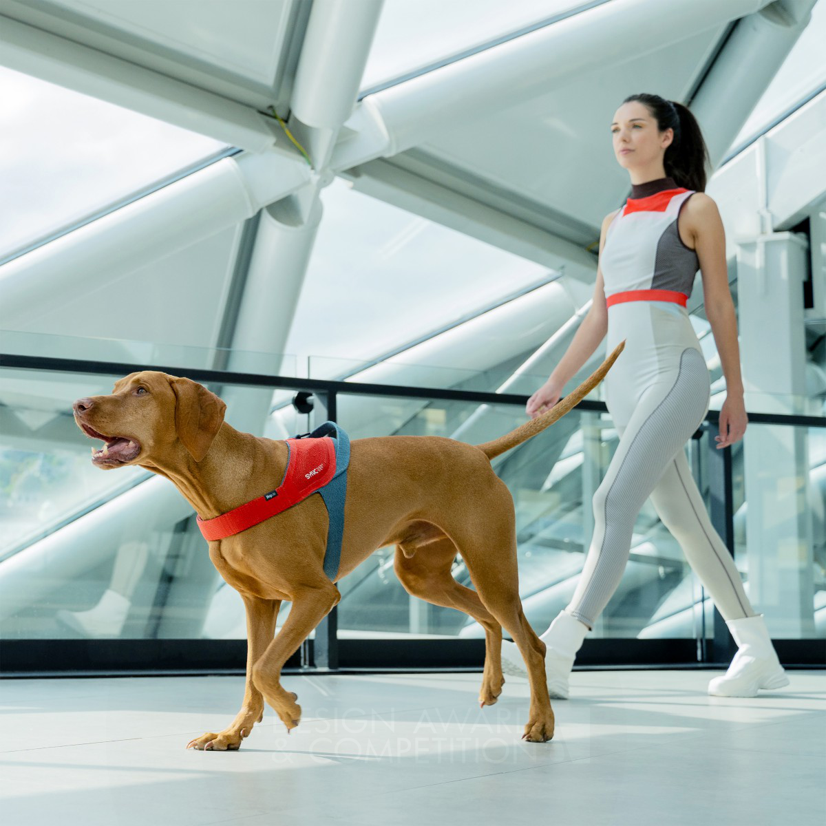 JK9 Sync Smart Dog Harness by Alberto Vasquez, Istvan Vincze and Gyula Sebo Golden Pet Care, Toys, Supplies and Products for Animals Design Award Winner 2024 