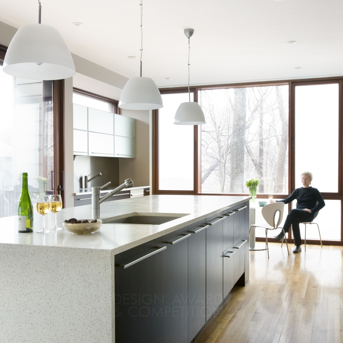 Brookline Massachusetts Renovation Residence by BUTZ + KLUG Architecture Bronze Interior Space and Exhibition Design Award Winner 2013 