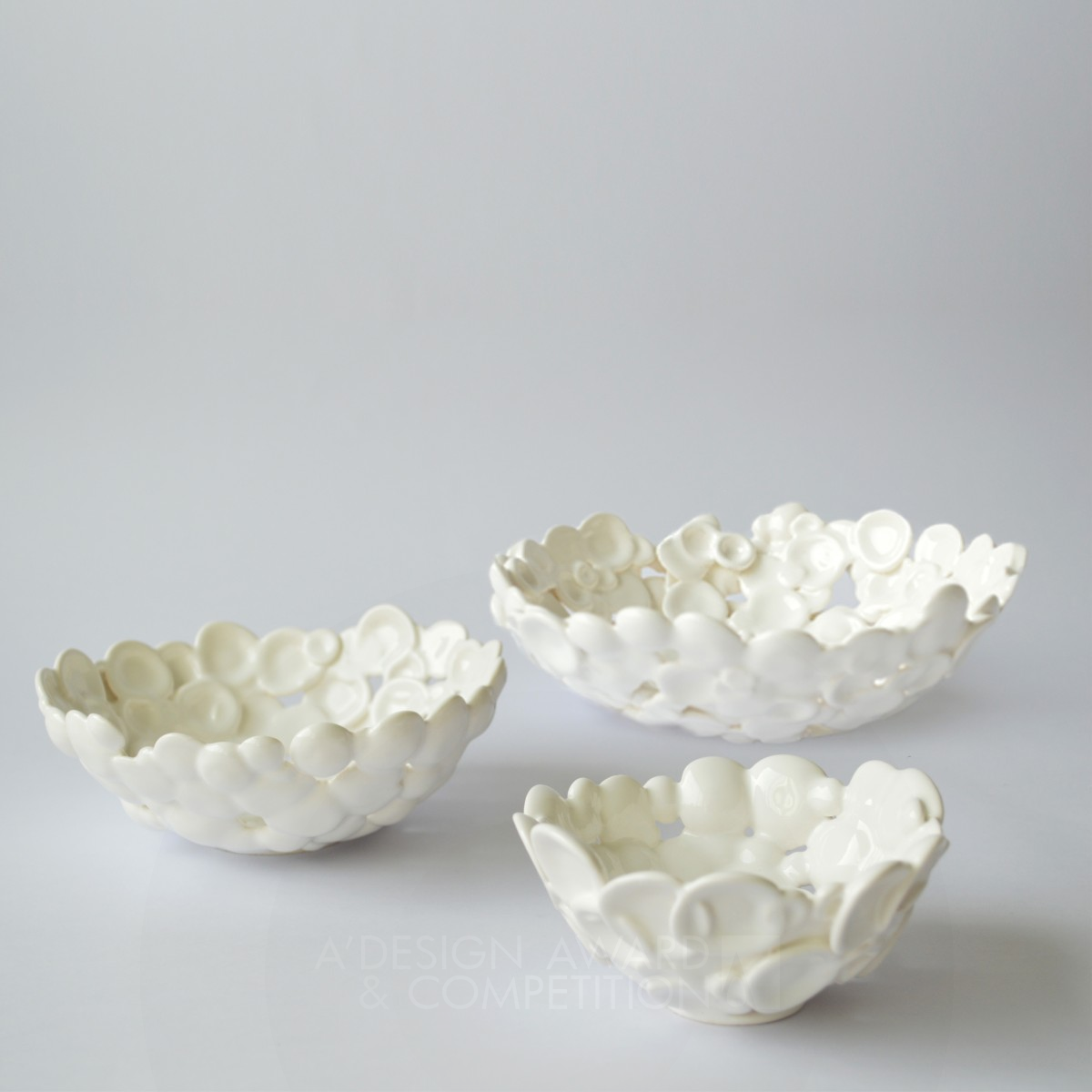 3D Crafts Bowls by Alice Le Biez Silver 3D Printed Forms and Products Design Award Winner 2015 