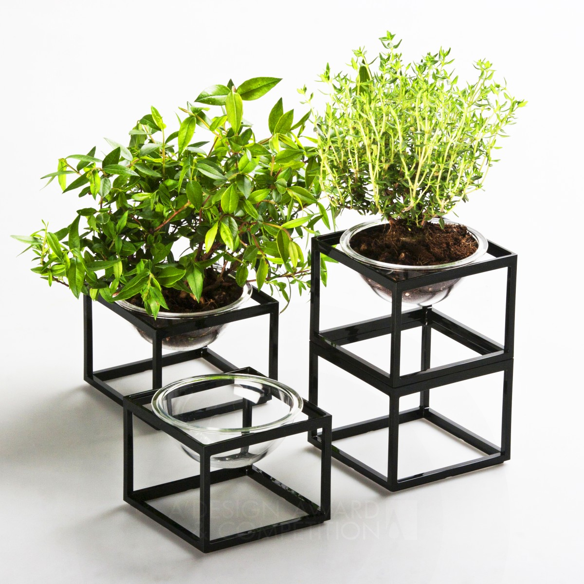 Planet without the "E" Mini Planter Set by Yu Hiraoka Silver Furniture Design Award Winner 2015 