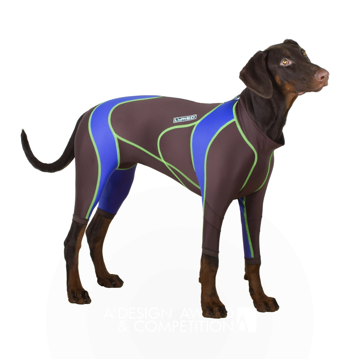 Lymed Dog Canine pressure garment by Lymed Silver Pet Care, Toys, Supplies and Products for Animals Design Award Winner 2016 