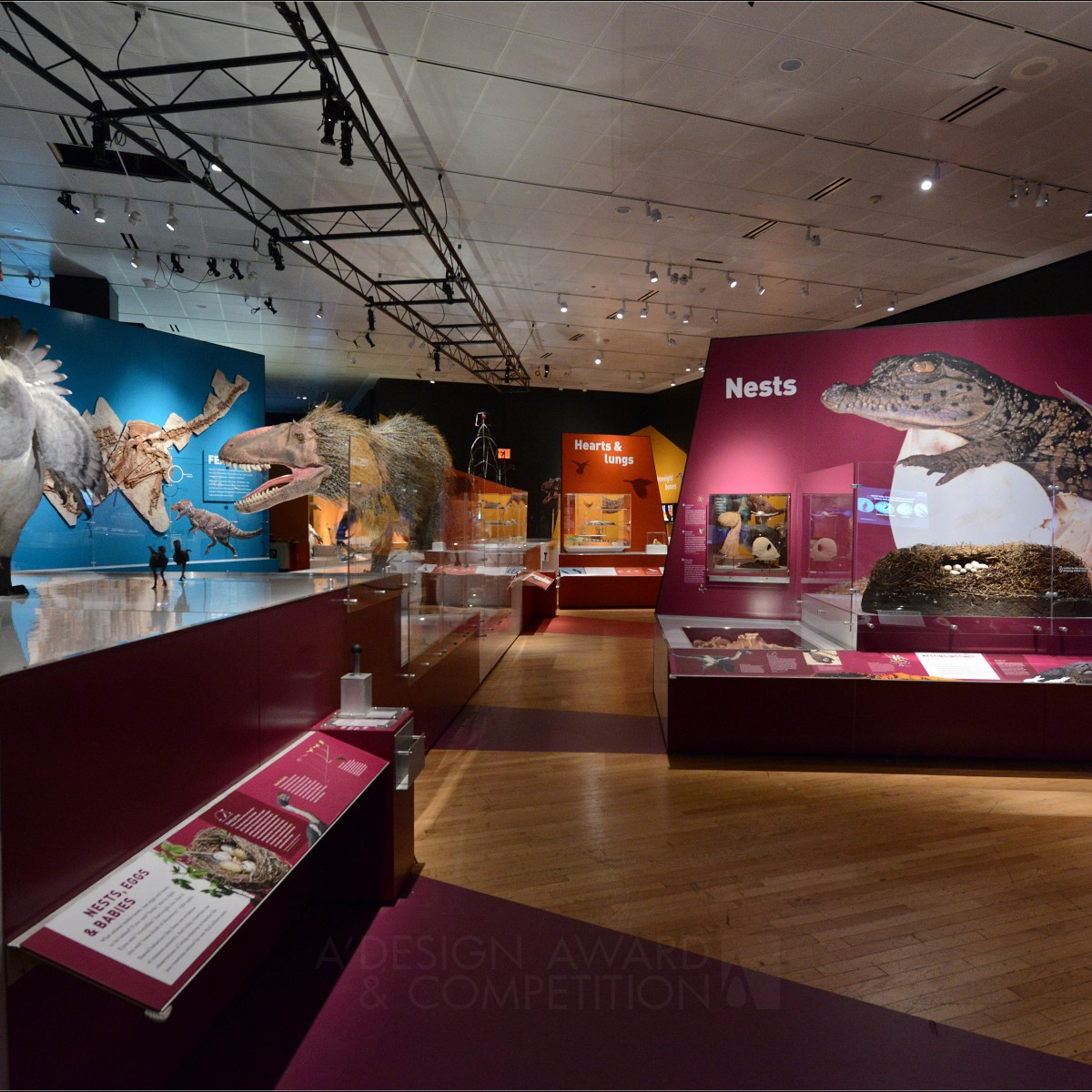 Dinosaurs Among Us Temporary/Touring Exhibition by AMNH 3D Design Team Silver Event and Happening Design Award Winner 2017 