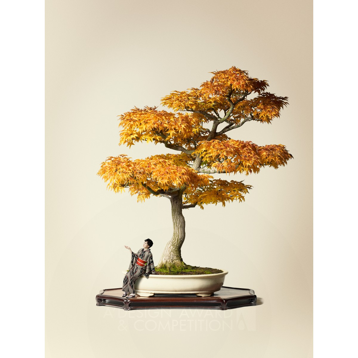 Bonsai Another world by Yuichi Horikawa Silver Photography and Photo Manipulation Design Award Winner 2018 