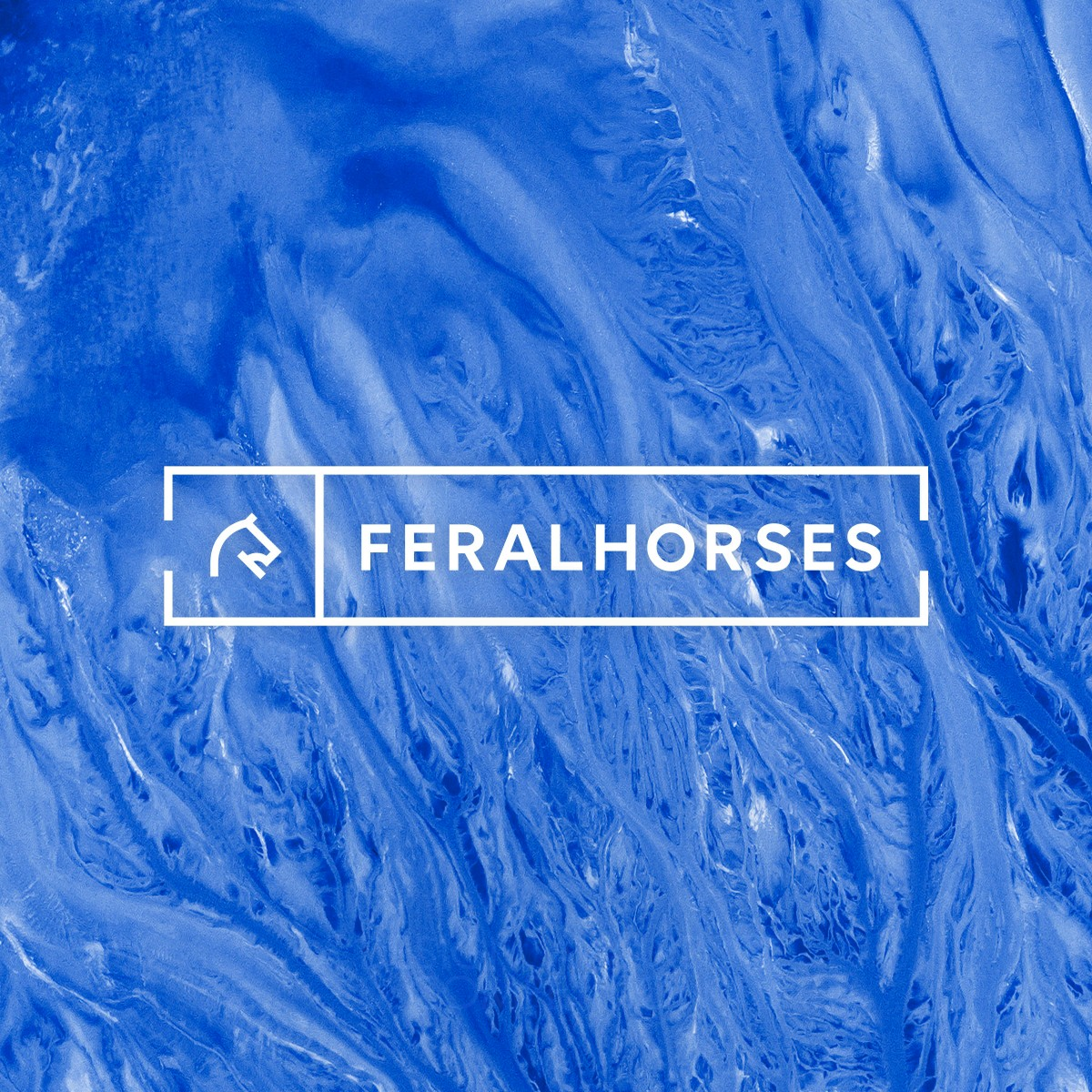 Feral Horses Brand Identity Corporate Identity by Emanuele Grittini Silver Graphics, Illustration and Visual Communication Design Award Winner 2018 