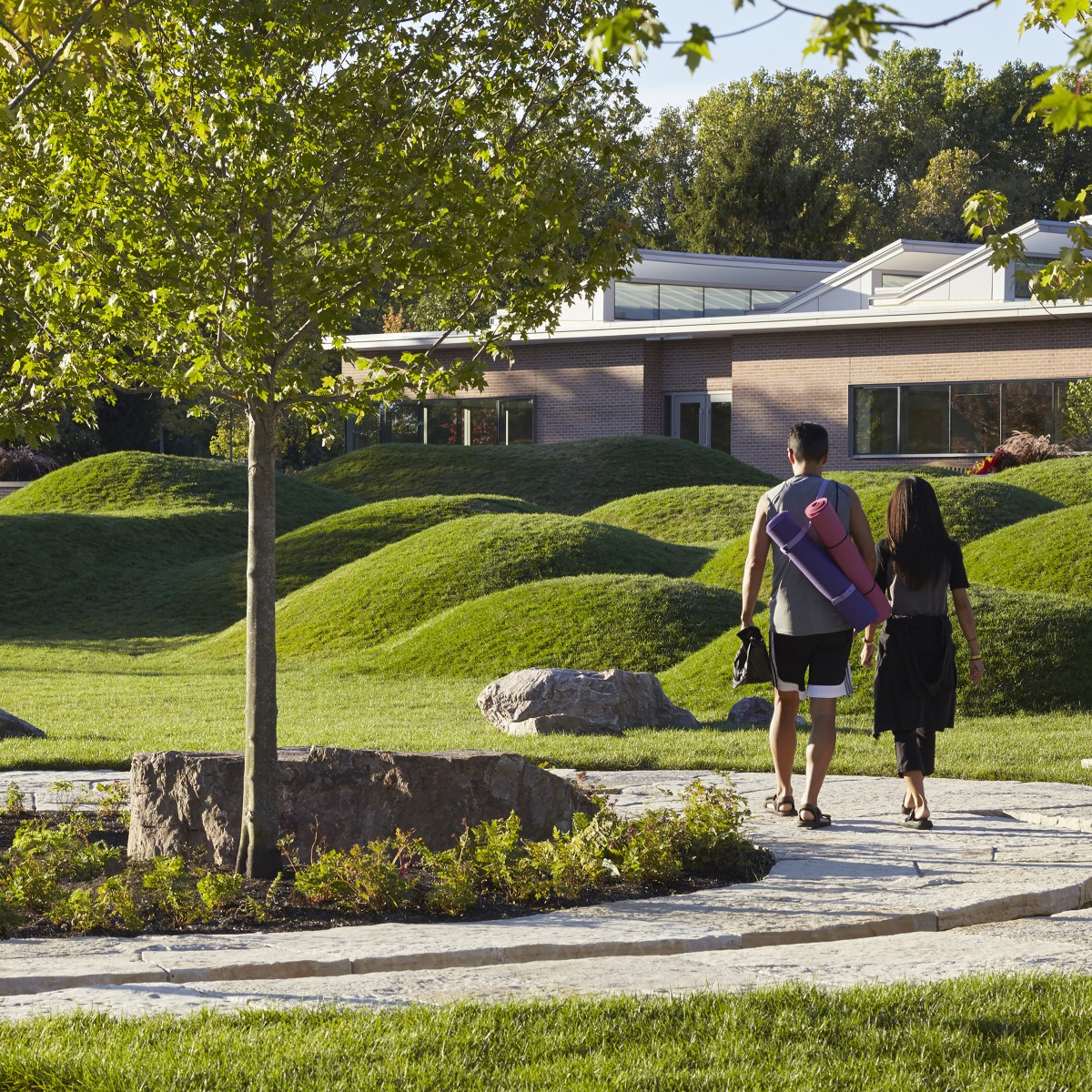 Regenstein Learning Campus Botanic Garden by Mikyoung Kim Platinum Landscape Planning and Garden Design Award Winner 2018 