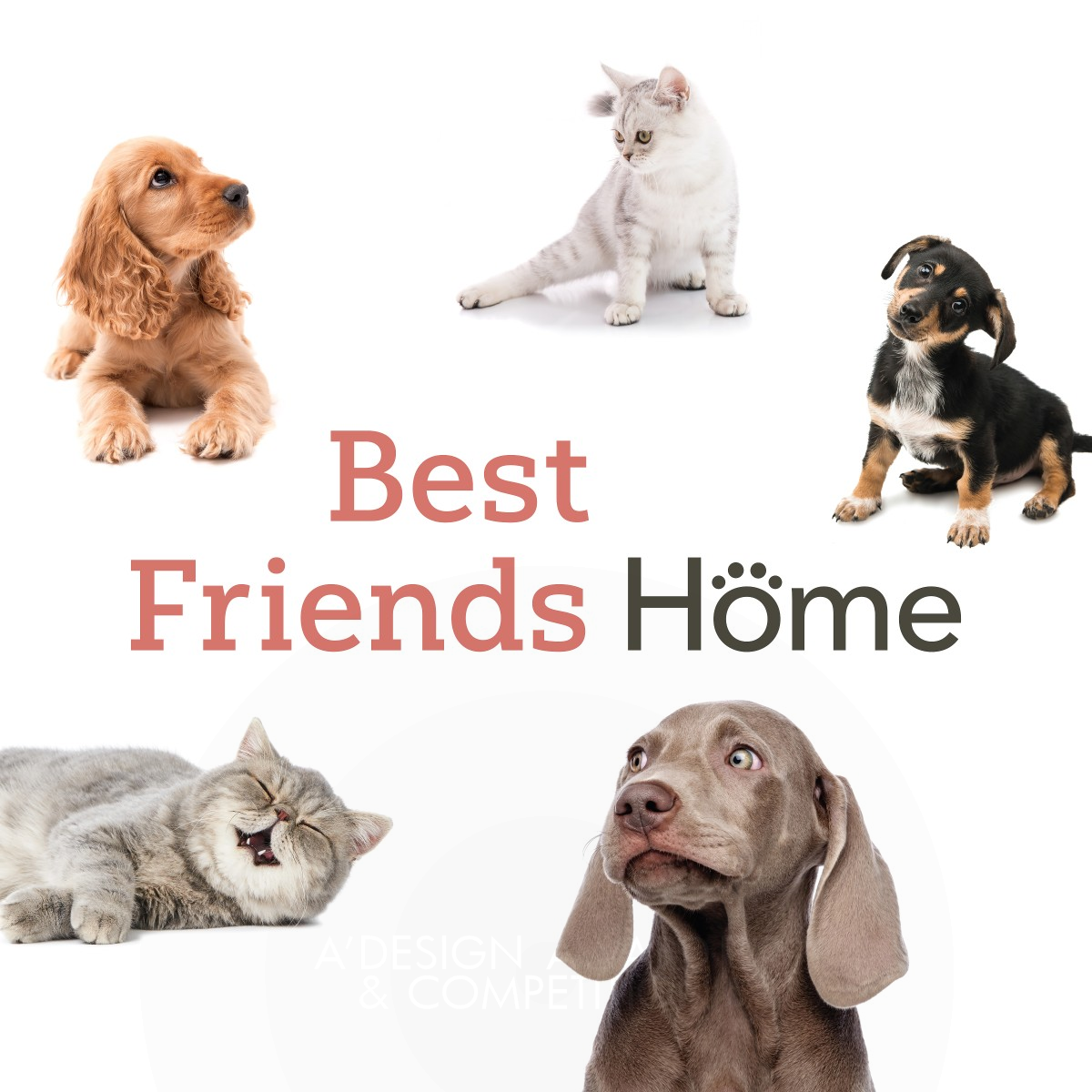 Best Friends Home Brand Identity by Lee Selsick Bronze Graphics, Illustration and Visual Communication Design Award Winner 2019 