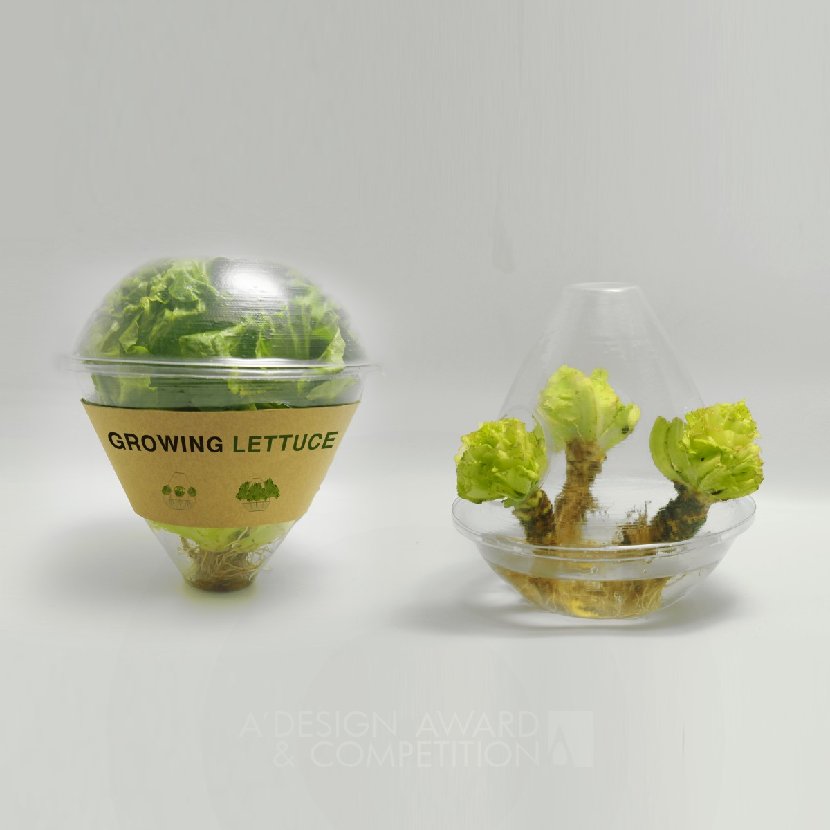 Eco Lettuce Package Multifunctional Food Packaging by Ning Sun, Xu Sun, Binjian Liu and Ying Jiang Bronze Packaging Design Award Winner 2020 