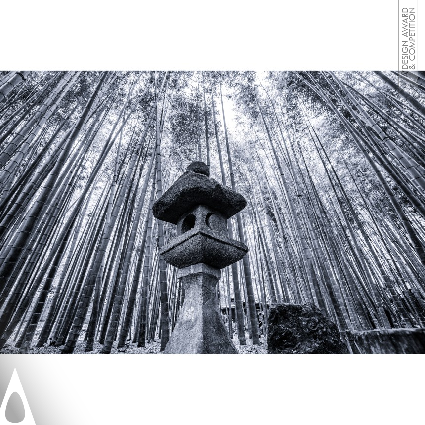 Bamboo Forest - Bronze Photography and Photo Manipulation Design Award Winner