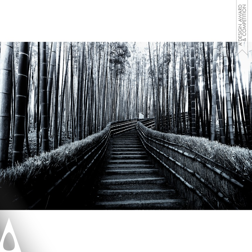 Takeo Hirose's Bamboo Forest Fine Art Photography