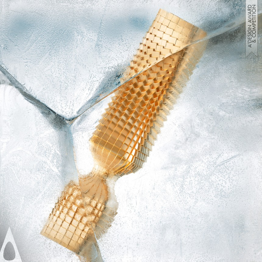 Freeze Into Fragment of Time - Bronze Packaging Design Award Winner