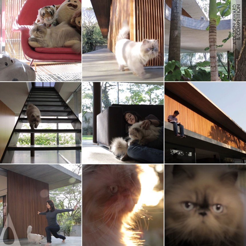 Silver Movie, Video and Animation Design Award Winner 2013 Cat Film to show architecture 