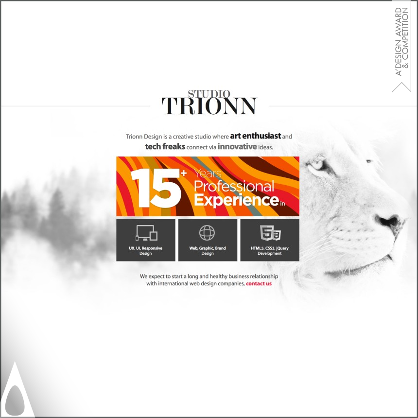 Silver Website and Web Design Award Winner 2014 Trionn Design Website Design 