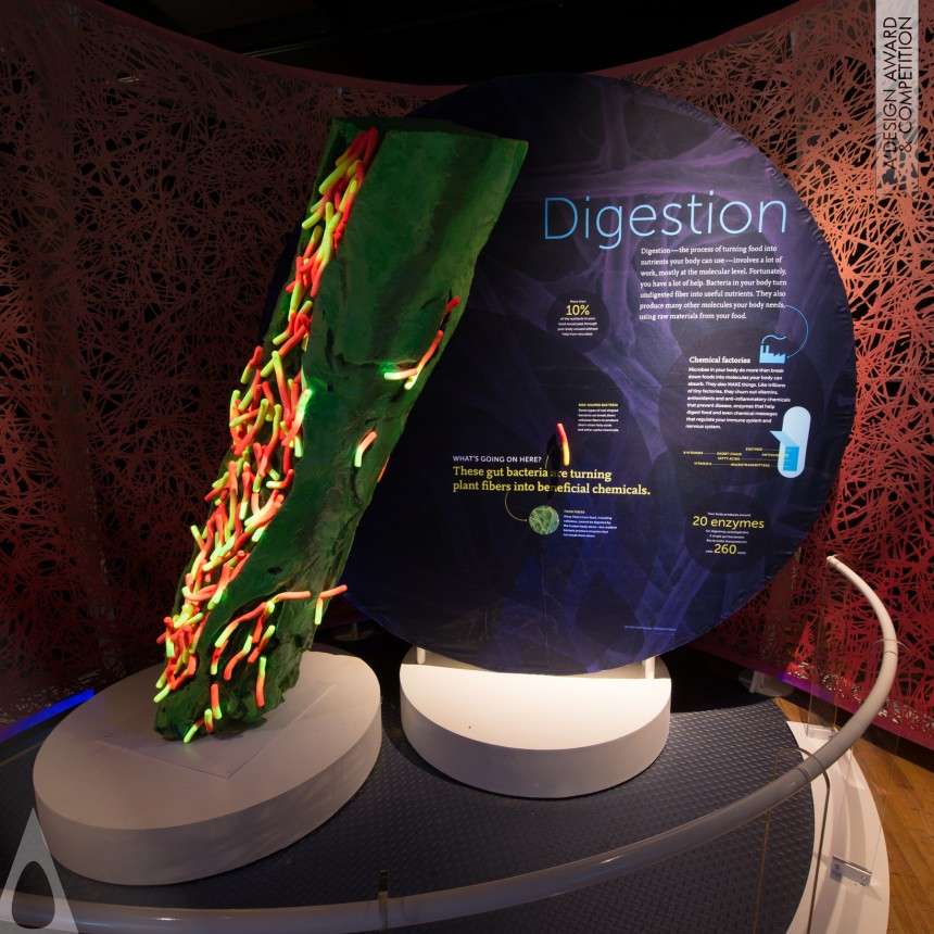 The AMNH 3D Design Team Temporary Exhibition