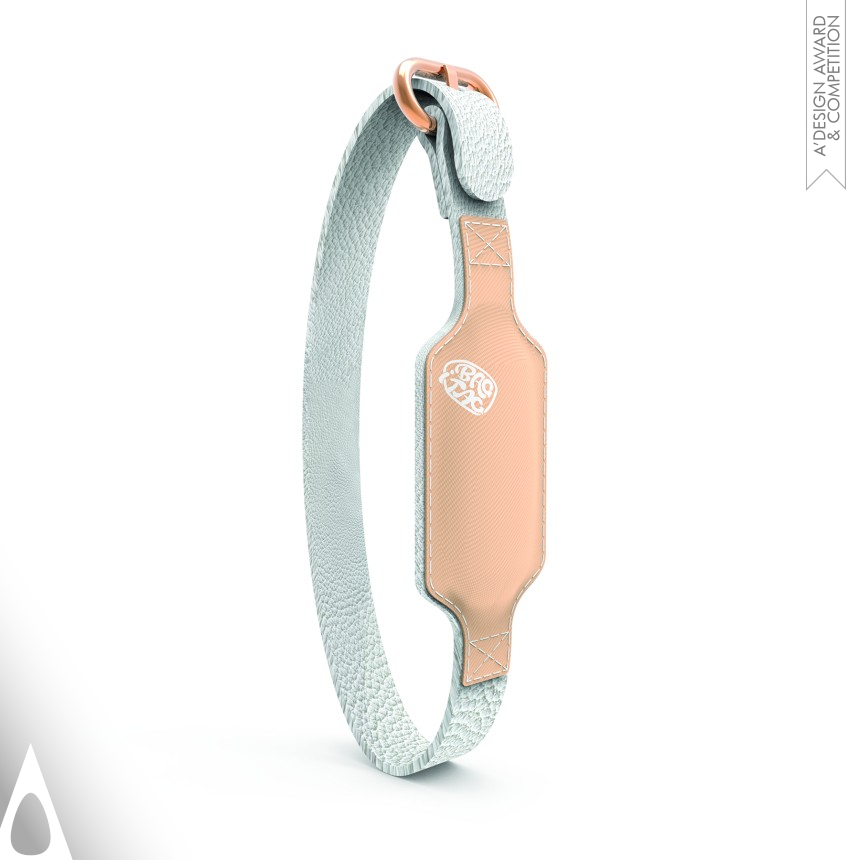 Bag iStrap - Bronze Fashion and Travel Accessories Design Award Winner