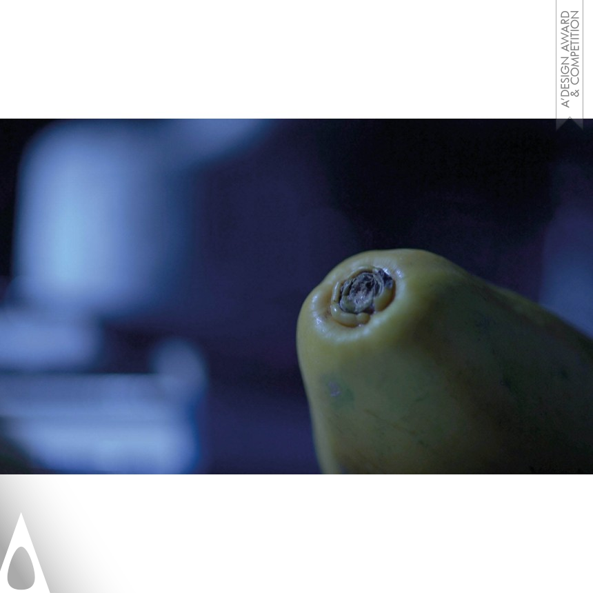 Fruits Do Not Get AIDS - Silver Movie, Video and Animation Design Award Winner