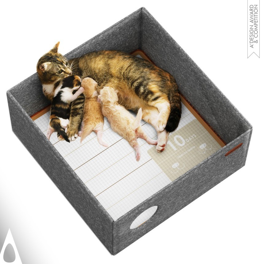 Bronze Pet Care, Toys, Supplies and Products for Animals Design Award Winner 2019 Meo Folded Cat Box 