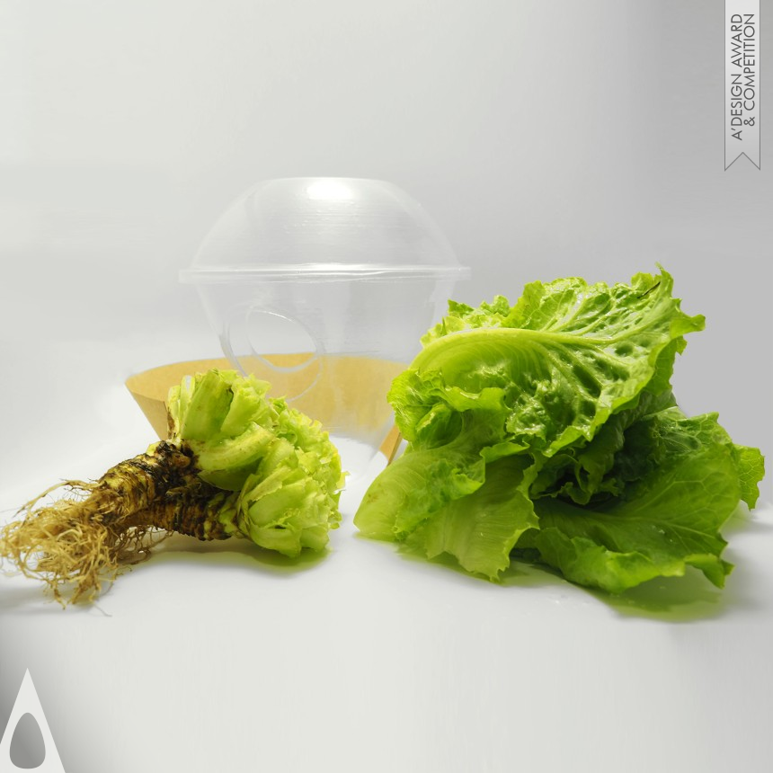 Bronze Packaging Design Award Winner 2020 Eco Lettuce Package Multifunctional Food Packaging 