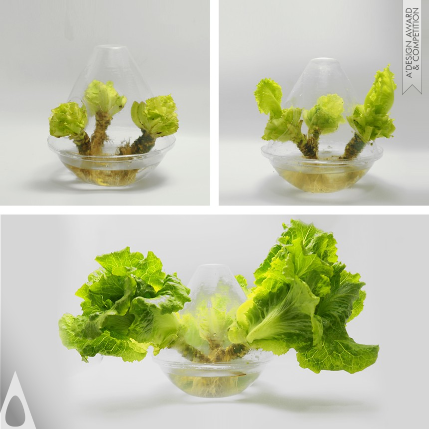 Eco Lettuce Package - Bronze Packaging Design Award Winner