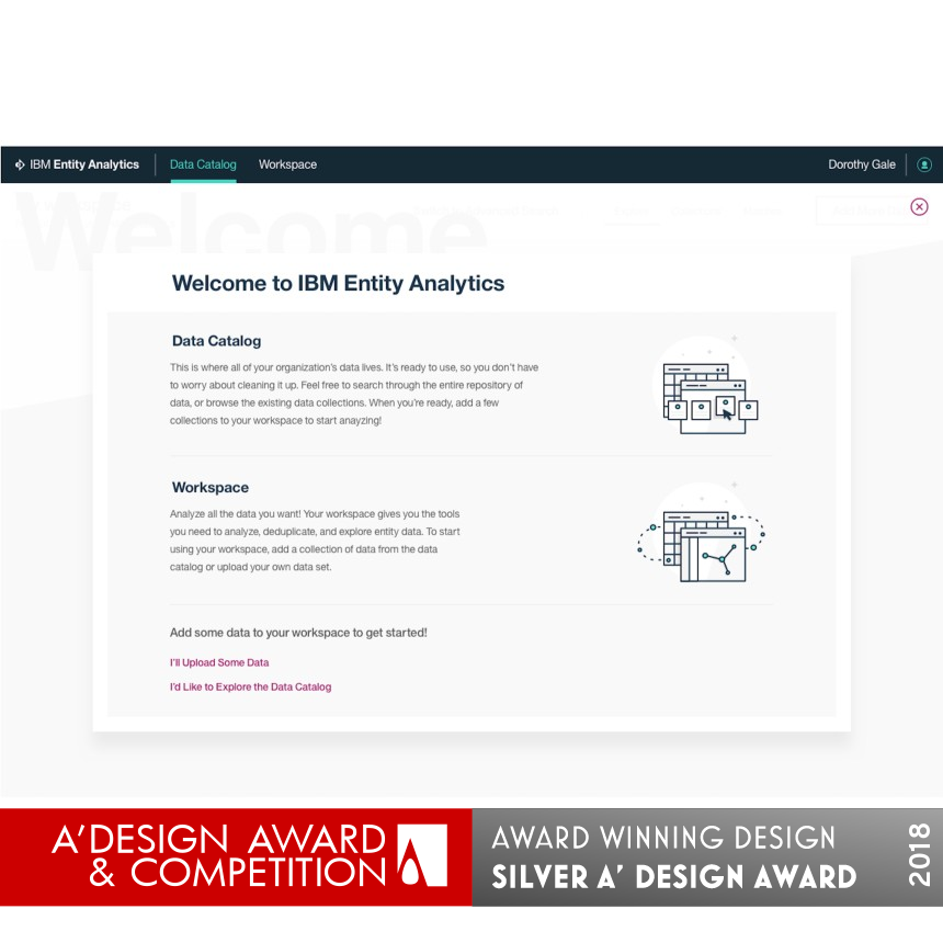 IBM Entity Insight Software Application