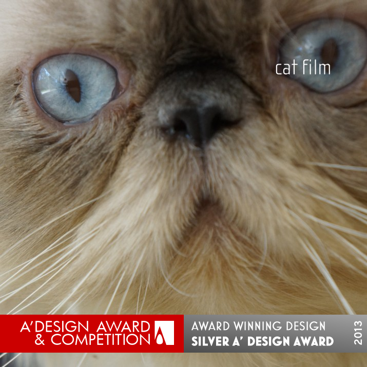 Cat Film to show architecture by studiomk27 Silver Movie, Video and Animation Design Award Winner 2013 