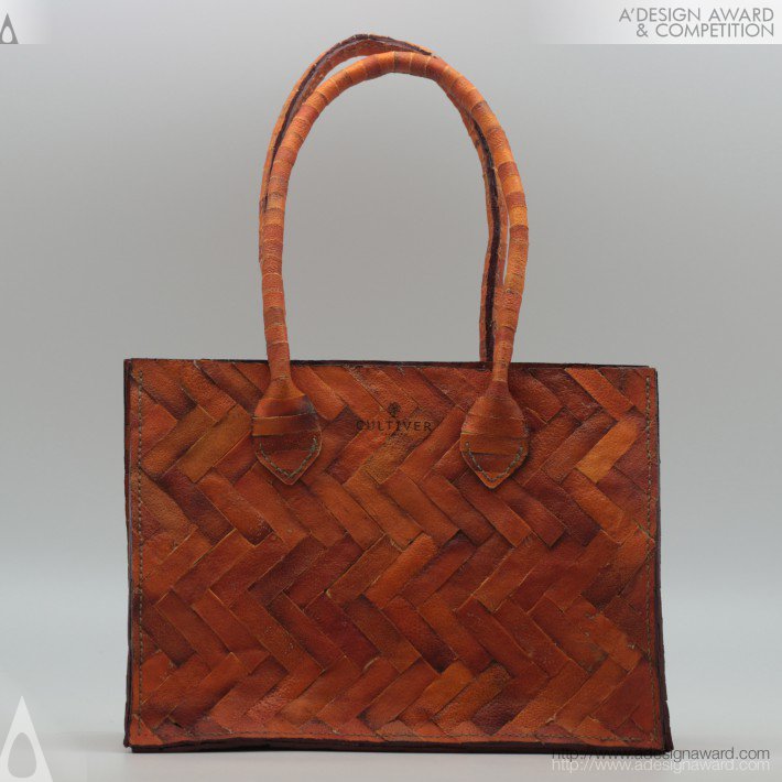 Leung Jia Jun Orange Handbag