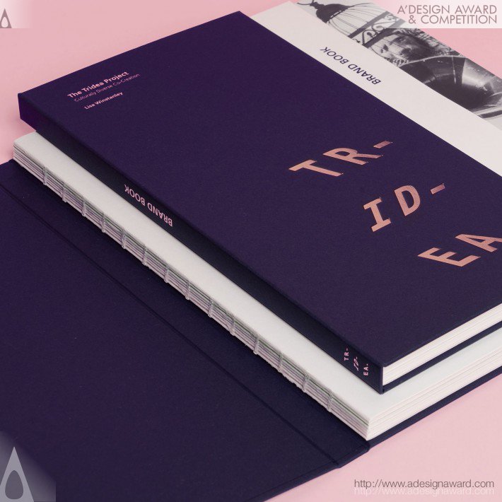 Lisa Winstanley - The Tridea Project Book