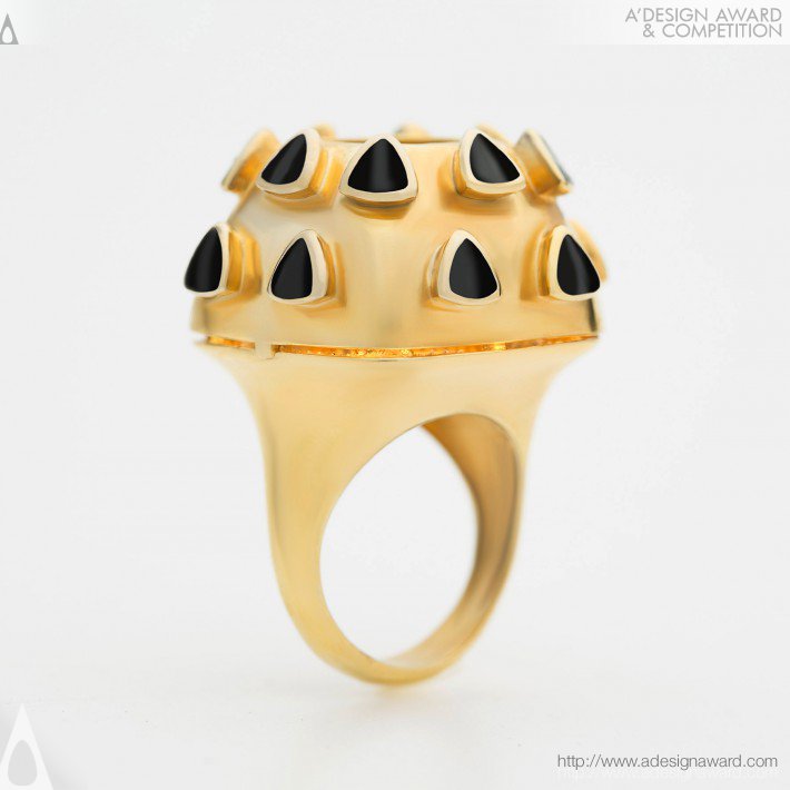 Kosar Sivandi Symbolic Ring