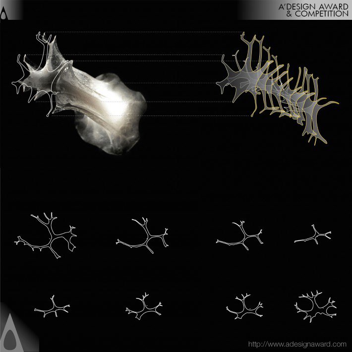 bioplastic-morphologies-by-marilu-valente-3