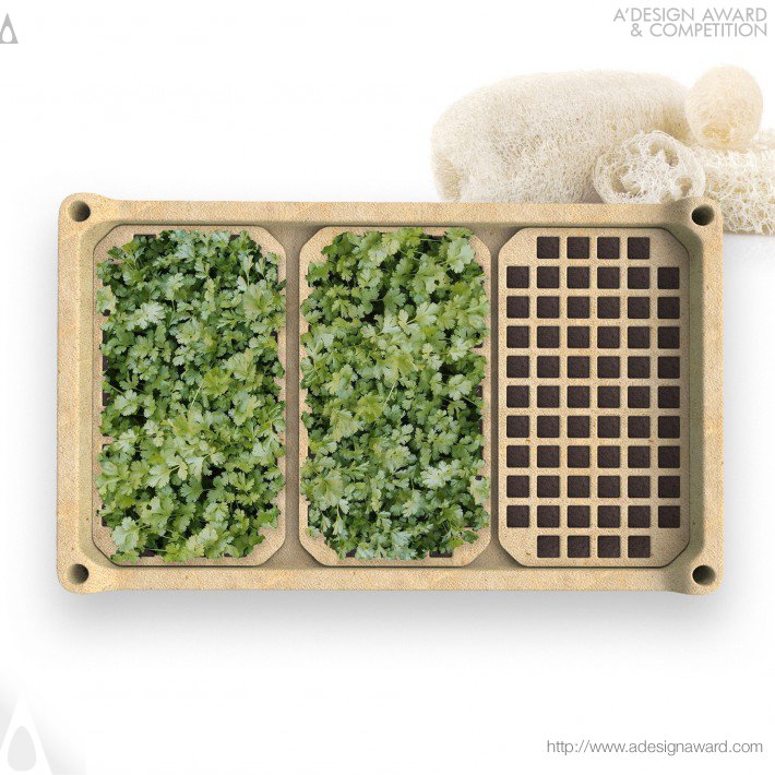 Bomu Xue - Luf Seedling Trays