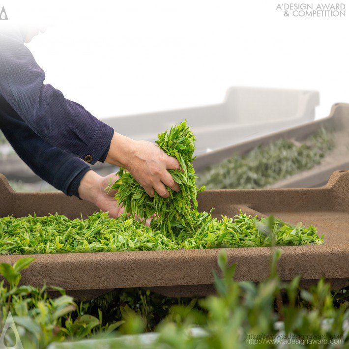 Bomu Xue Seedling Trays