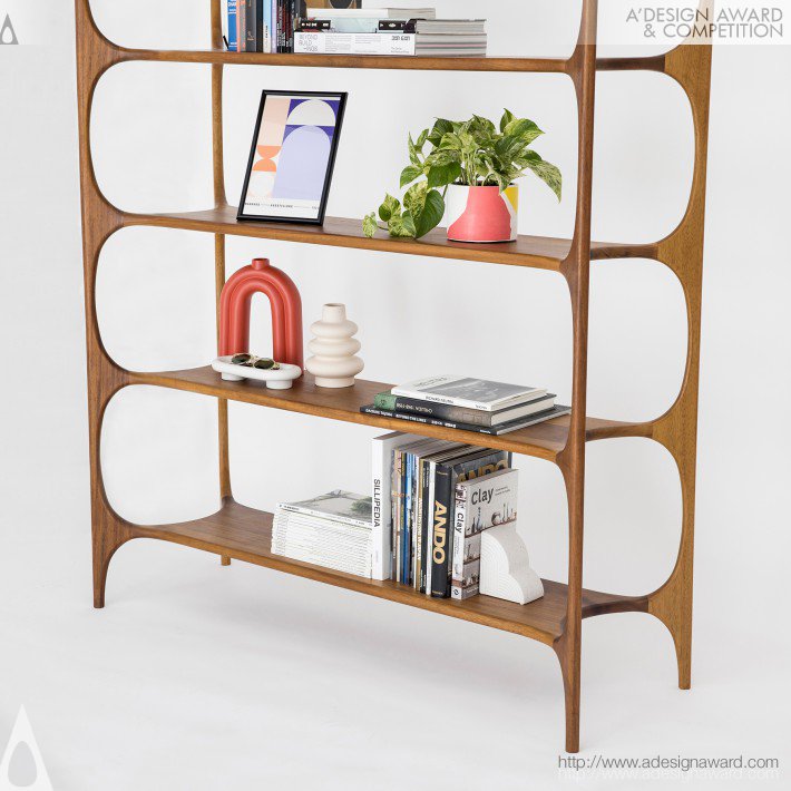 Pablo Vidiella Shelf