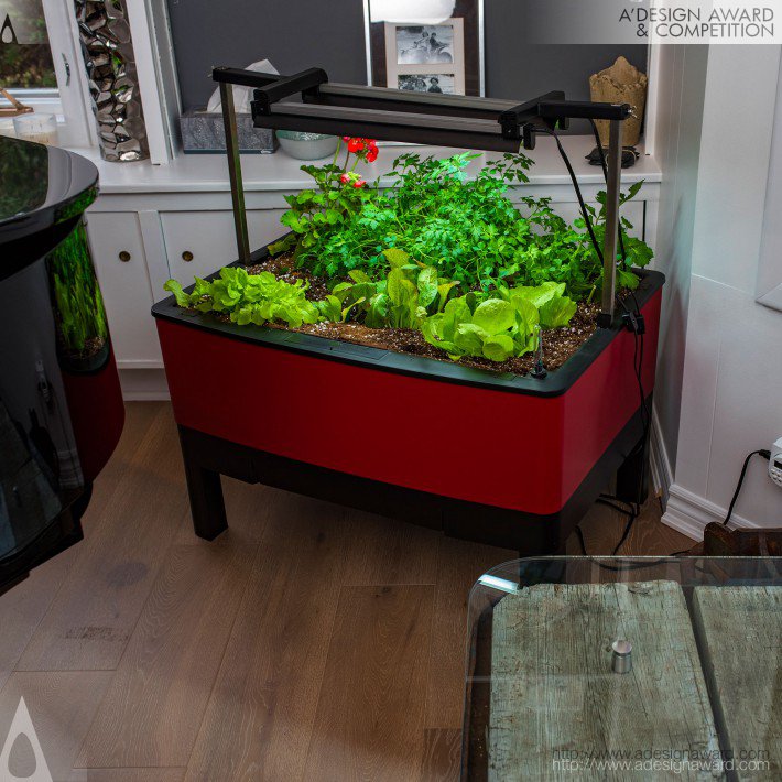 Grow Food Indoors and Outdoors by Eddie J DeJong