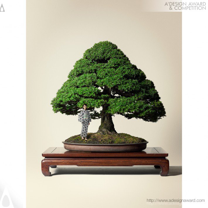 bonsai-by-yuichi-horikawa-1