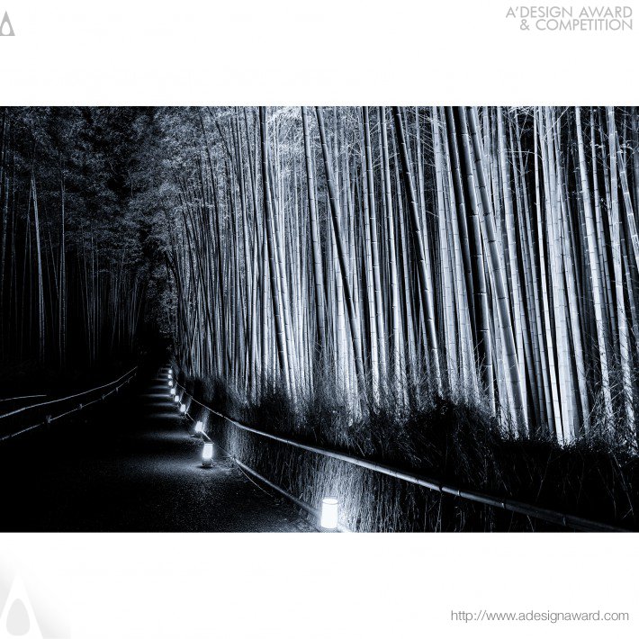 bamboo-forest-by-takeo-hirose-2