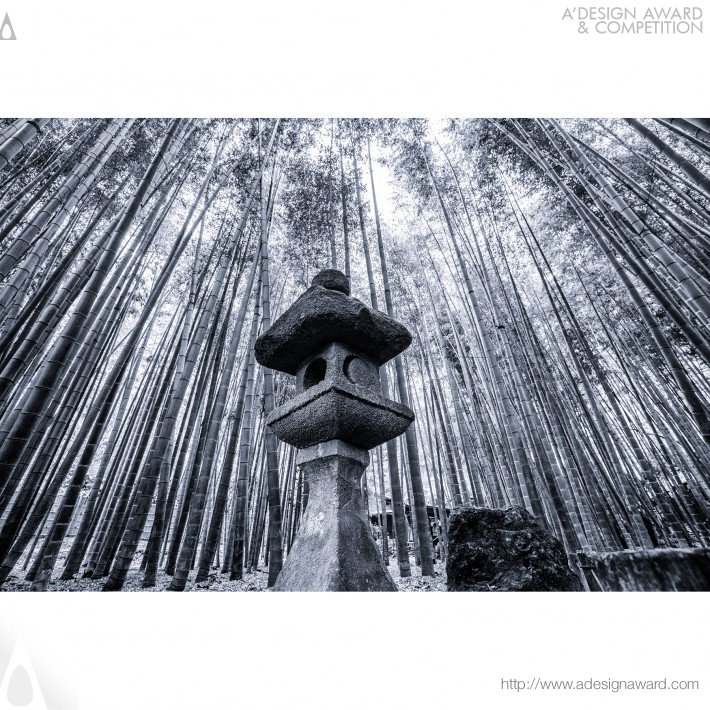 bamboo-forest-by-takeo-hirose-3