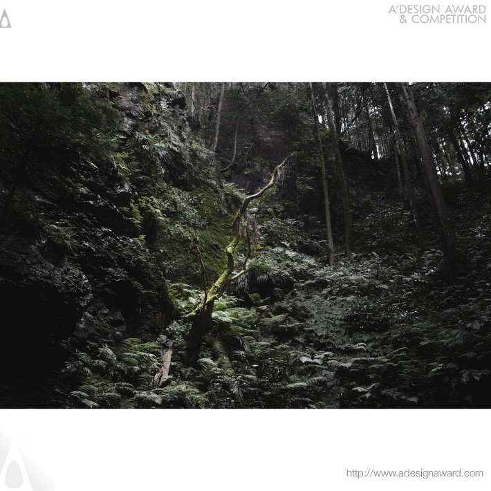 Masaru Eguchi - The Japanese Forest Photography