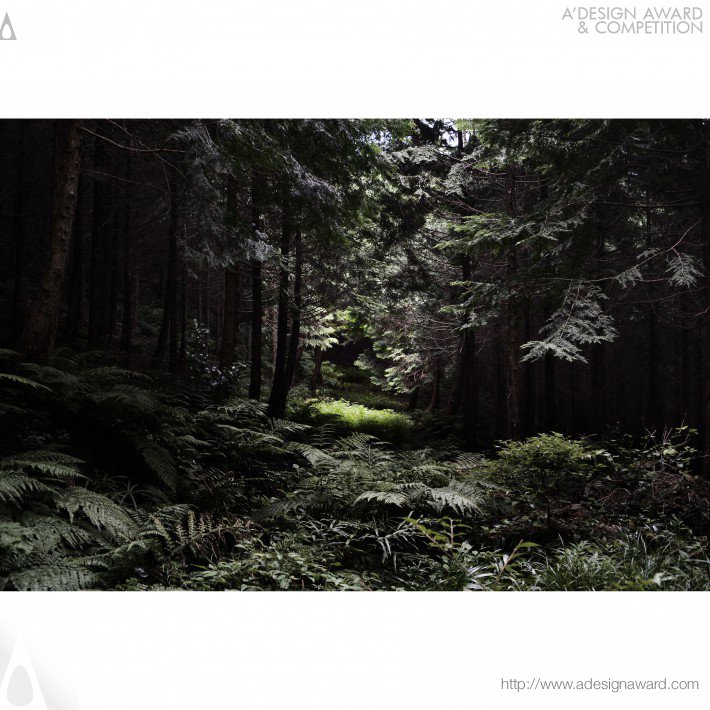 The Japanese Forest Photography by Masaru Eguchi