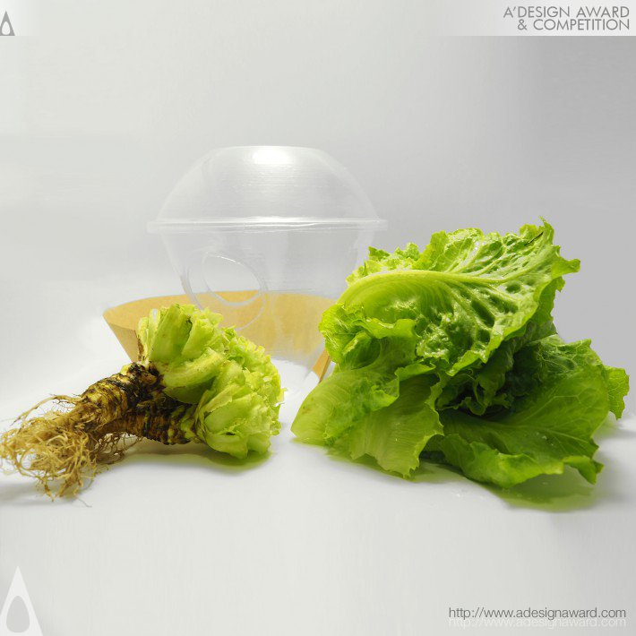 eco-lettuce-package-by-ning-sun-xu-sun-binjian-liu-and-ying-jiang-1