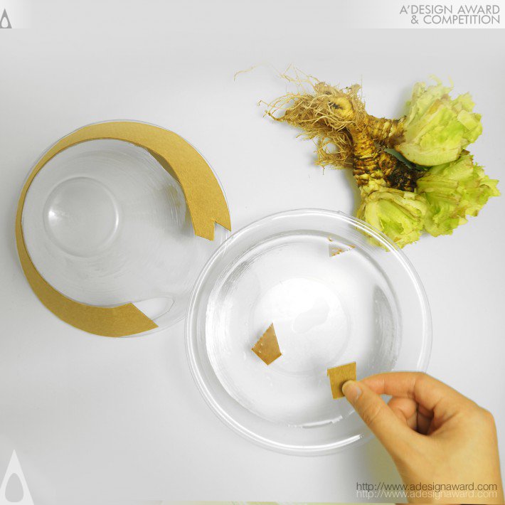 eco-lettuce-package-by-ning-sun-xu-sun-binjian-liu-and-ying-jiang-2