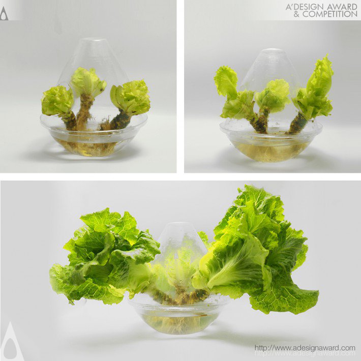 eco-lettuce-package-by-ning-sun-xu-sun-binjian-liu-and-ying-jiang-3