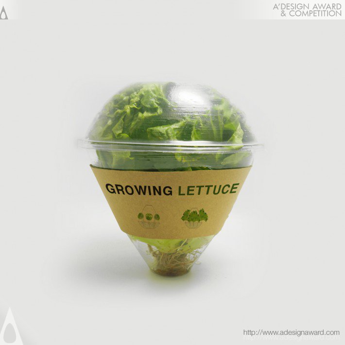 eco-lettuce-package-by-ning-sun-xu-sun-binjian-liu-and-ying-jiang-4