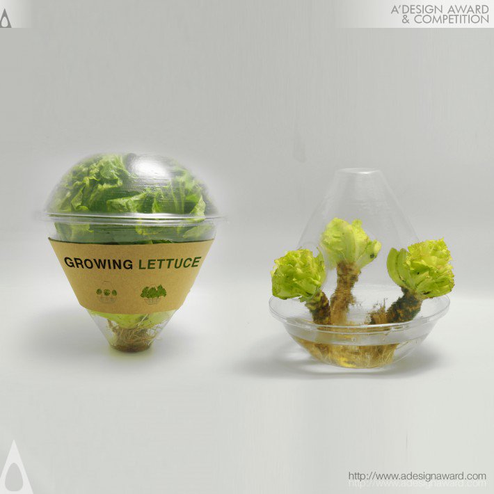 eco-lettuce-package-by-ning-sun-xu-sun-binjian-liu-and-ying-jiang