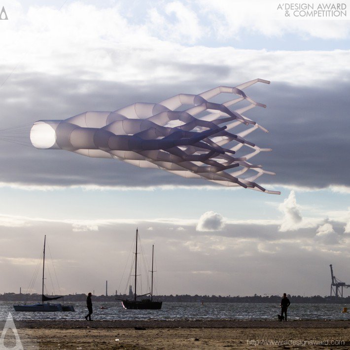 The Hex Kite by Stanislav Roudavski