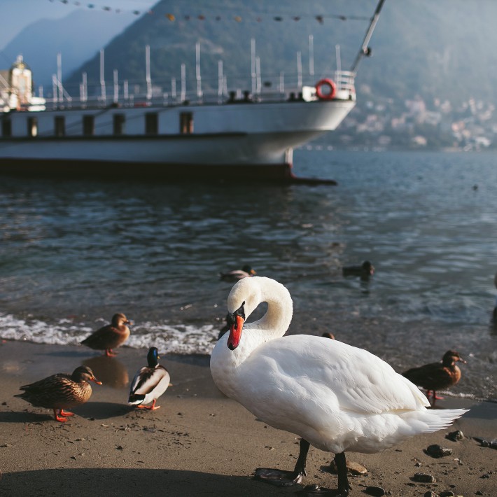 Boat Trip in Como Sightseeing Image 6